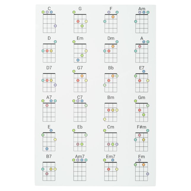 24 Common Ukulele Chords Colored Reference Chart Metal Print (Front)
