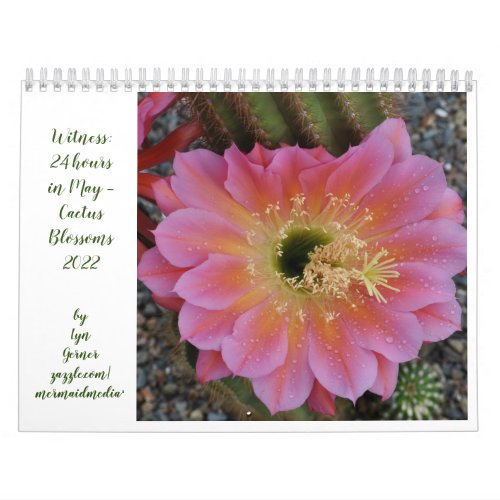 24 hours in May _ Cactus Blossoms 2022 Calendar