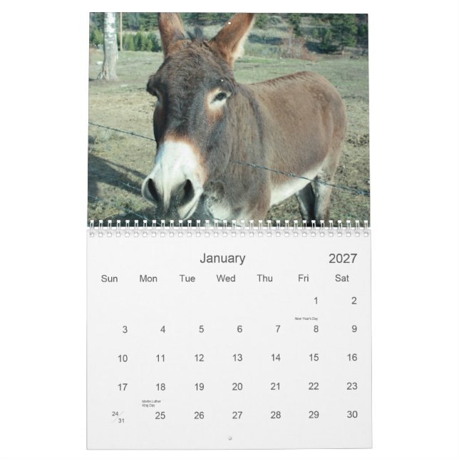 24-Month Darling Donkey Calendar (Jan 2027)