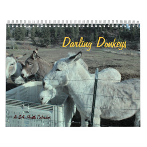 24-Month Darling Donkey Calendar