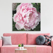 24"x24" Pink Peony