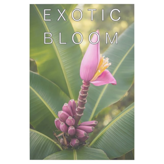 24" x 36" Gallery Wrap (Front)