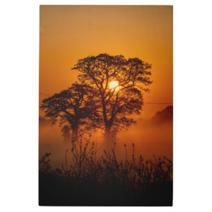 24" x 36" Tree & Sunset Metal Wall Art