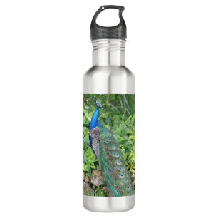 24oz Stainless Steel Florida Peacock Water Bottle