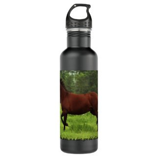 24oz. stainless steel water bottle