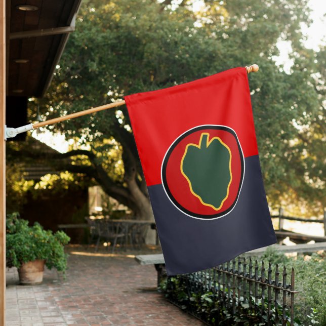 24th Infantry Division House Flag (In SItu)