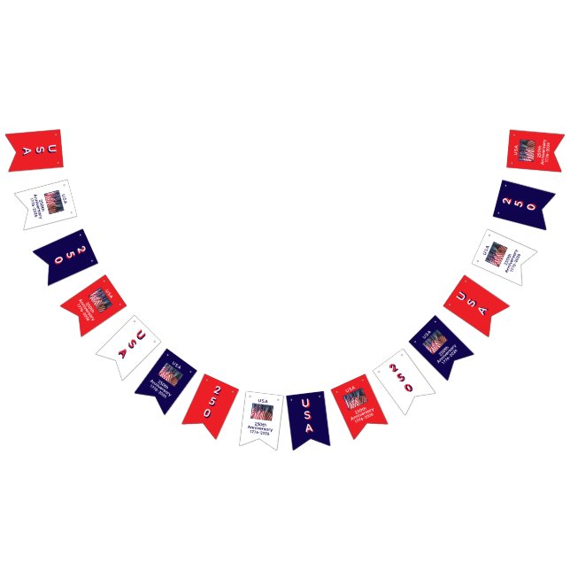 250th Anniversary USA Patriotic Flags Banner (All)