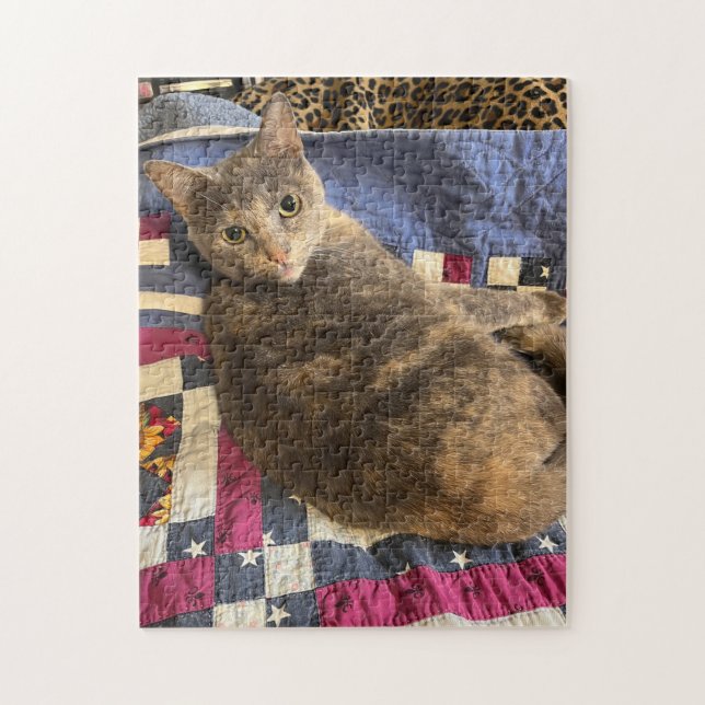 252 piece puzzle (Vertical)
