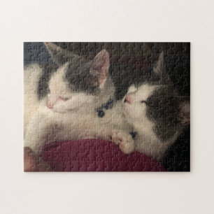 252 piece puzzle
