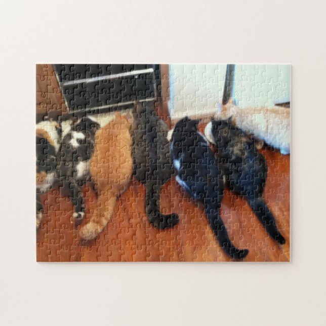 252 piece Puzzle (Horizontal)