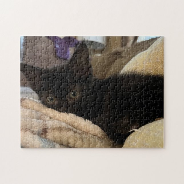 252 piece puzzle (Horizontal)