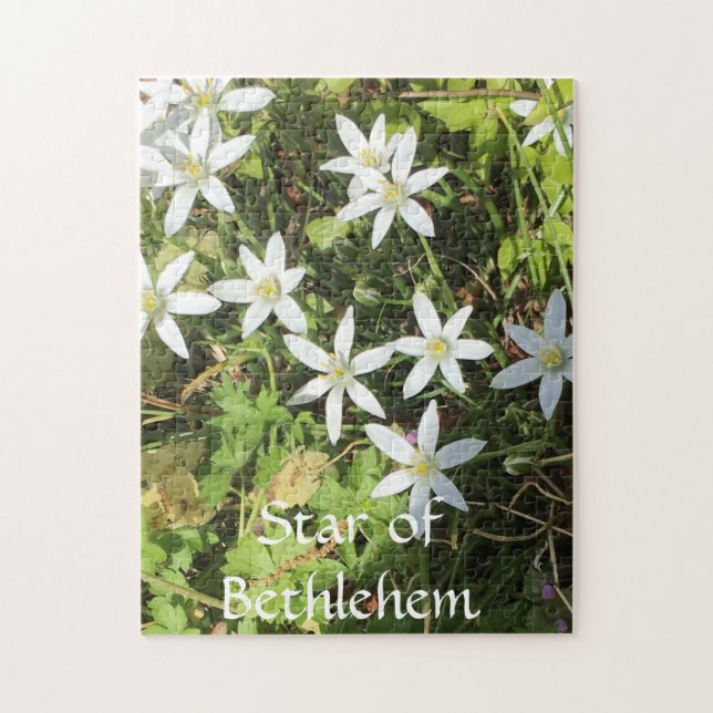 252 piece puzzle (Vertical)