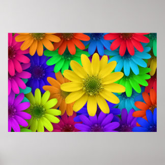 257153 BRIGHT COLORFUL DAISY FLOWERS BACKGROUNDS P POSTER