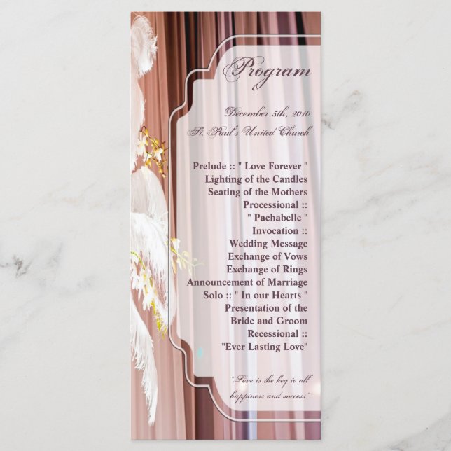 25 4x9 Wedding Program Feather Center Piece Glam (Front)