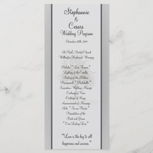 25 4x9 Wedding Program Gray Winter Trees Snow Bare (Front)