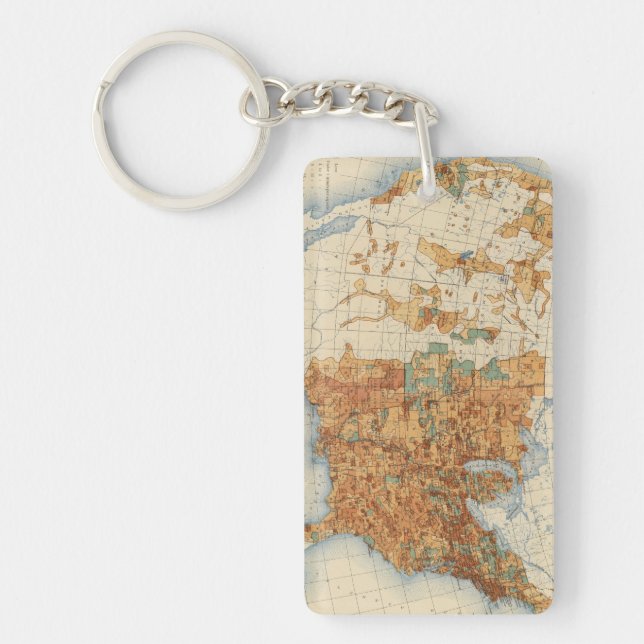 25 Density of increase of population, US, 18901900 Keychain (Front)