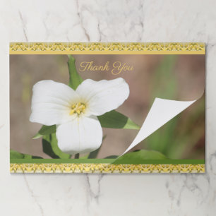 25 Piece White Trillium Paper Pad