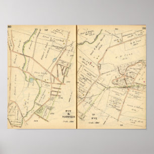 260261 Rye, Harrison Poster