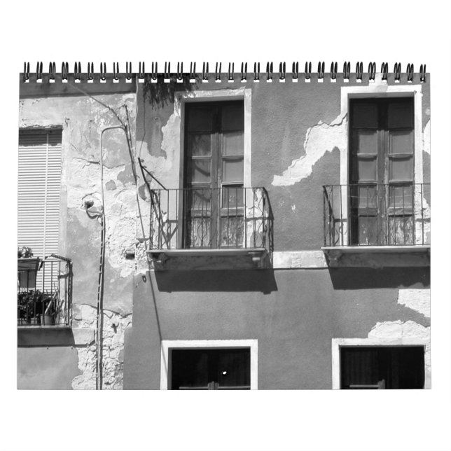 26.5 Shades of Gray Calendar (Cover)