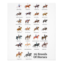 26 Horse Breeds