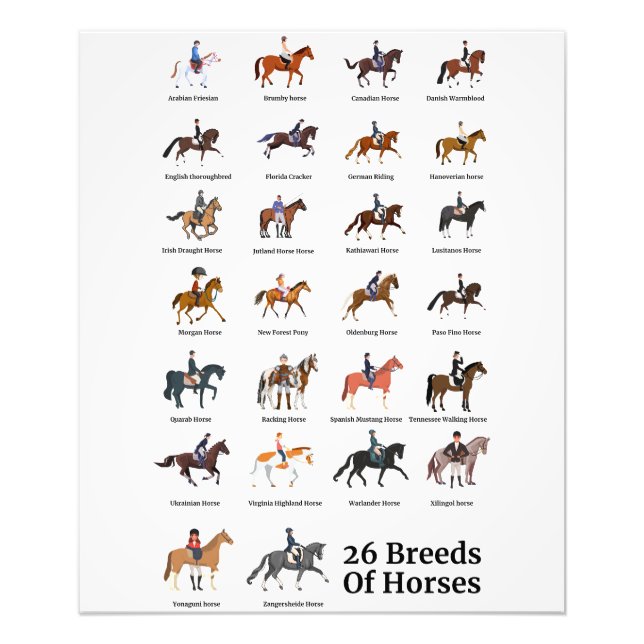 26 Horse Breeds Photo Print (Front)