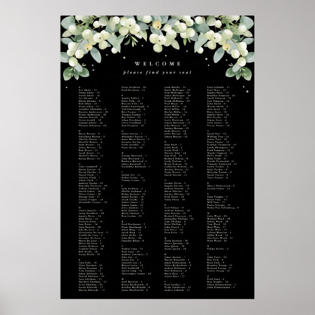 26 x 38" Alphabetical Seating Chart for 250 People (Front)