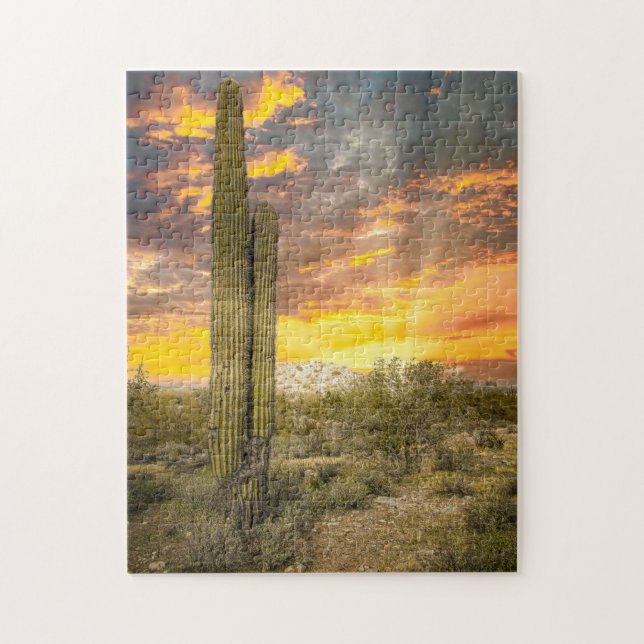 2706-Arizona Desert Landscape at Sunset Jigsaw Puzzle (Vertical)