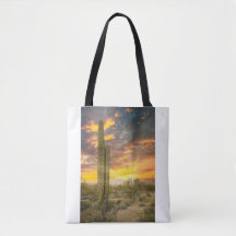 2706-Arizona Desert Landscape at Sunset