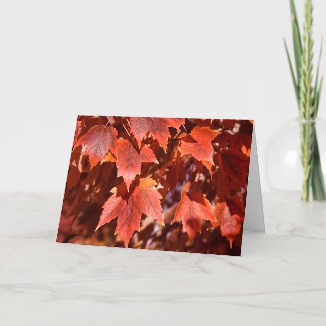 2767 Autumn Maple Leaves Birthday Card (Front)