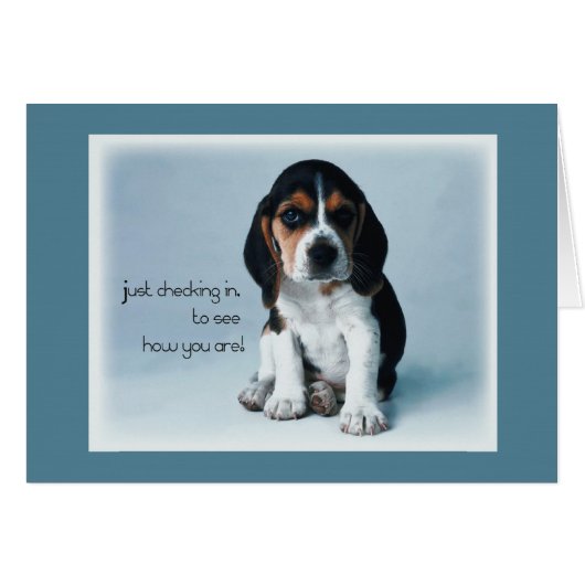 2769 Puppy Checking In Cards (Front Horizontal)