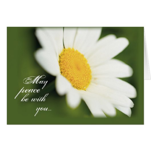 2771 Peace Daisy Cards (Front Horizontal)