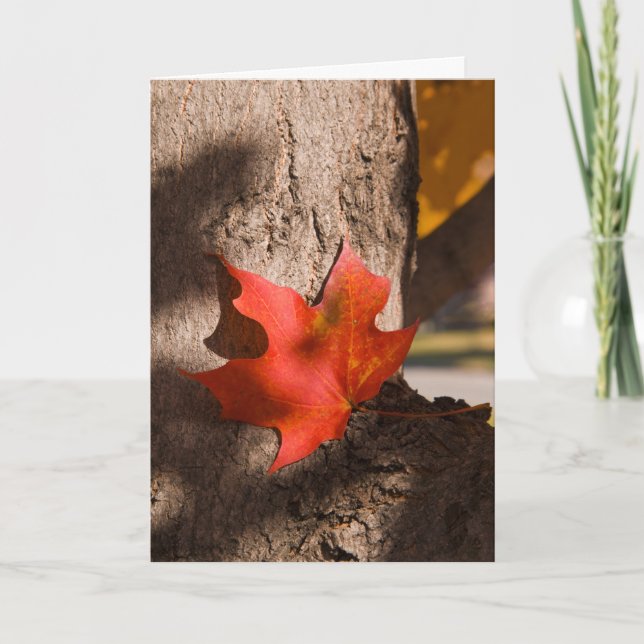2787 Autumn Maple Leaf Sympathy Card (Front)