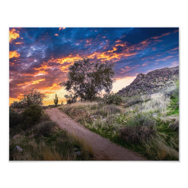 2815-Desert Landscape at Sunset Photo Print (Front)