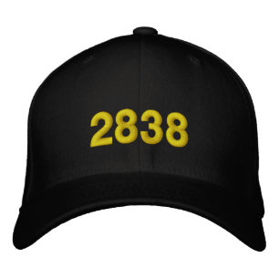2838 EMBROIDERED BASEBALL CAP