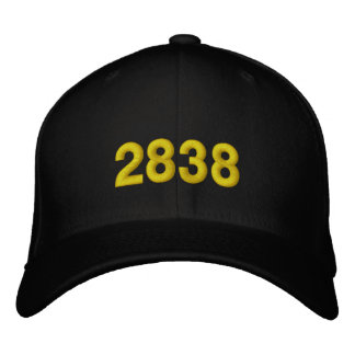 2838 EMBROIDERED BASEBALL CAP