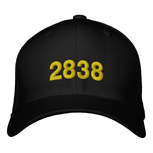 2838 EMBROIDERED BASEBALL CAP (Front)