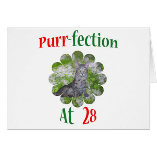 28 Purr-fection Cards