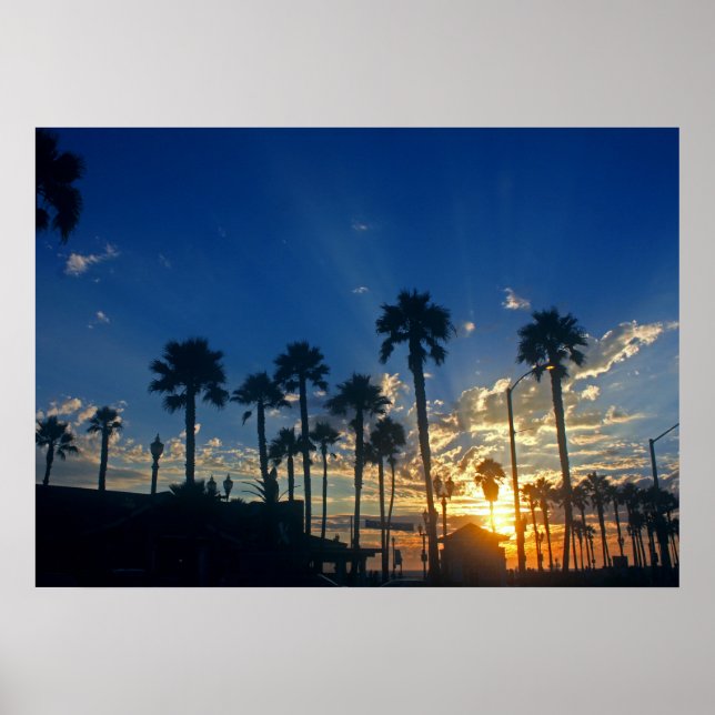 28" x 20", Value Poster Paper (Matte) (Front)