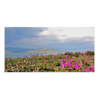 28x14 Glossy Poster of scene by Homer Alaska