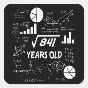 29 Year Old Bday Math Teacher 29th Birthday Gift Square Sticker