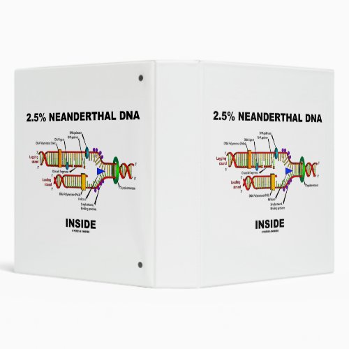 25 Neanderthal DNA Inside DNA Replication 3 Ring Binder