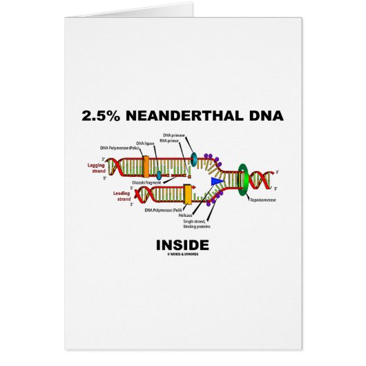 2.5% Neanderthal DNA Inside (DNA Replication) Cards (Front)