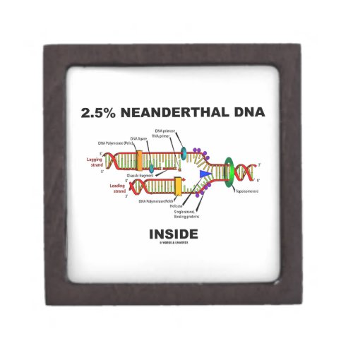 25 Neanderthal DNA Inside DNA Replication Jewelry Box