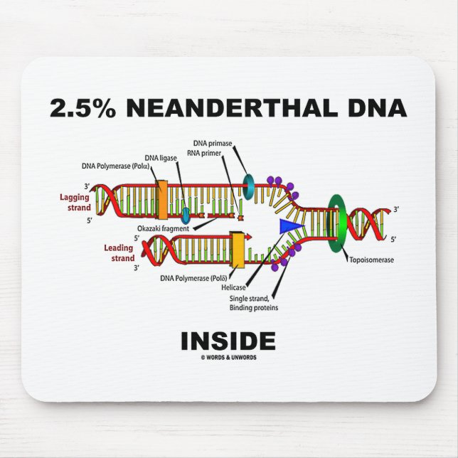 2.5% Neanderthal DNA Inside DNA Replication Mouse Pad (Front)