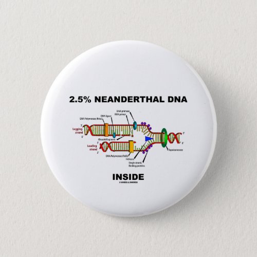 25 Neanderthal DNA Inside DNA Replication Pinback Button