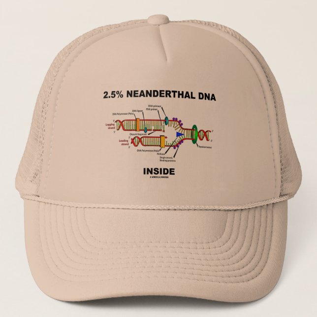 2.5% Neanderthal DNA Inside (DNA Replication) Trucker Hat (Front)
