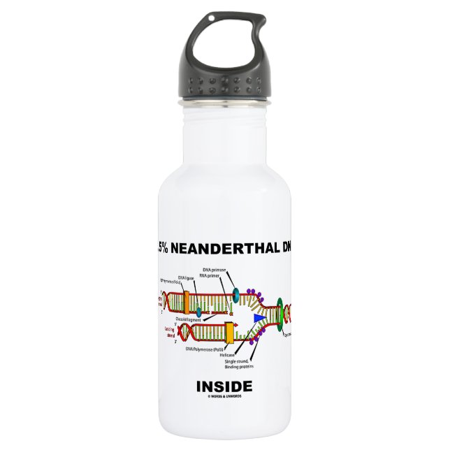 2.5% Neanderthal DNA Inside (DNA Replication) Water Bottle (Front)