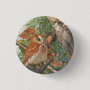 2 angry vintage owls in a tree button