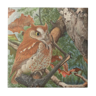 2 angry vintage owls in a tree ceramic tile
