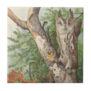 2 angry vintage owls in a tree ceramic tile